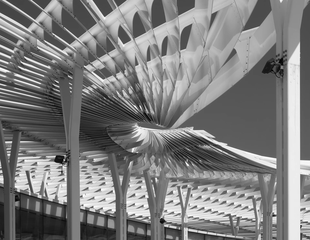 10platz faecher dach von ruth hase 20231122 1286514935