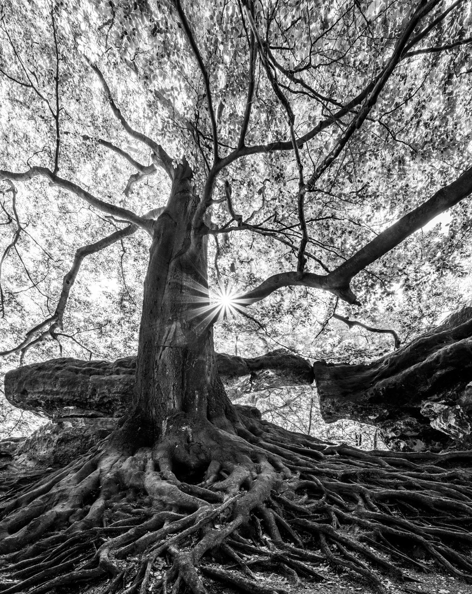 9platz ueberwachsen von hermann weiss 20231122 2082433988