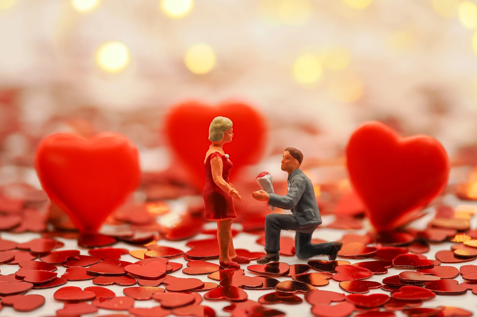 1platz aus liebe von ralf wandke 20230913 1601766842