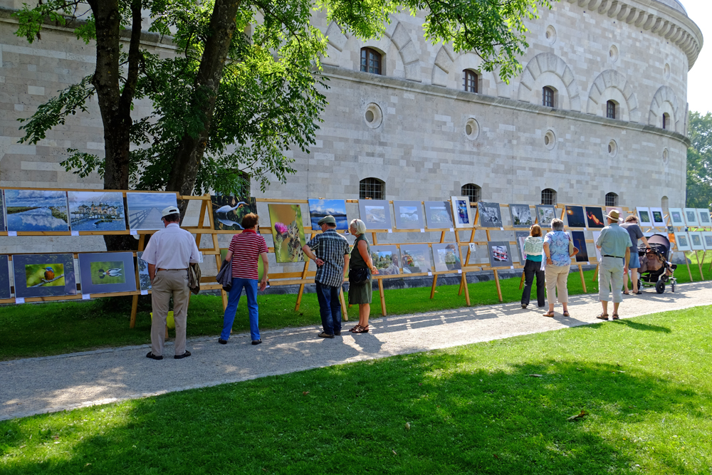 img 2389 web 20141003 2038647317