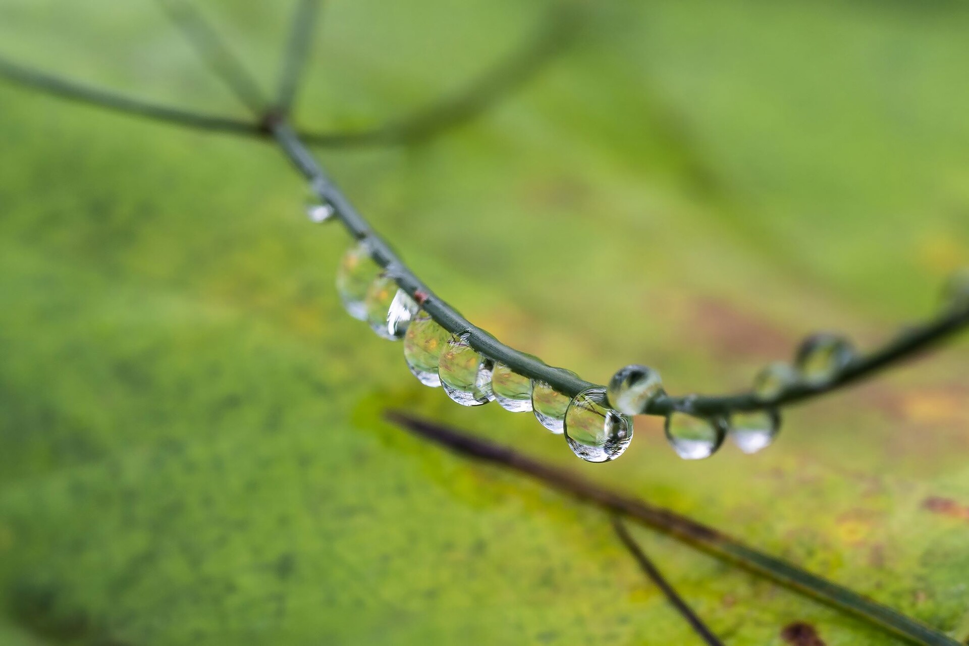 3platz tropfen ralf wandke 20220831 1051787370