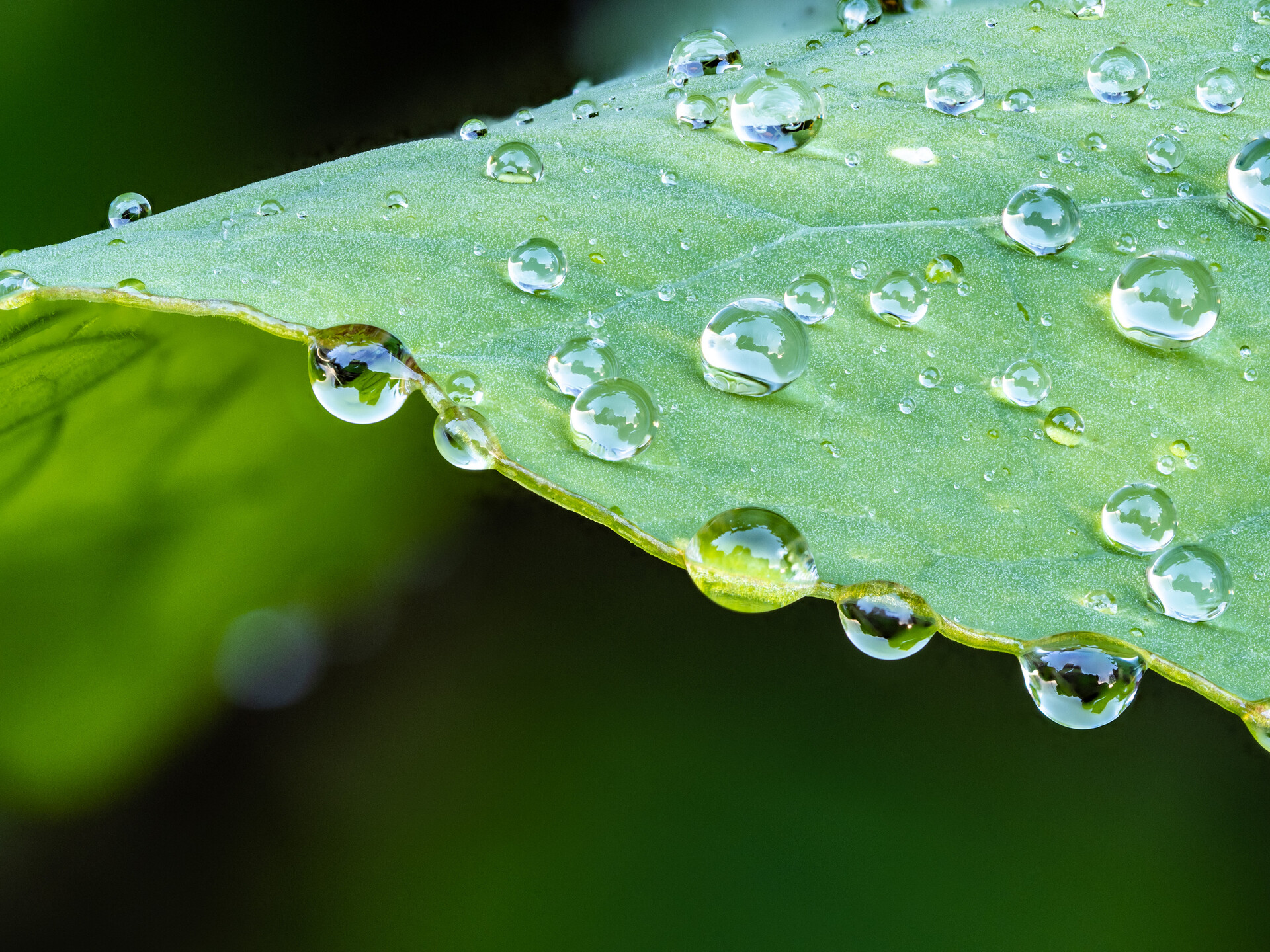 6platz regennass von hermann weiss 20221207 1841094175