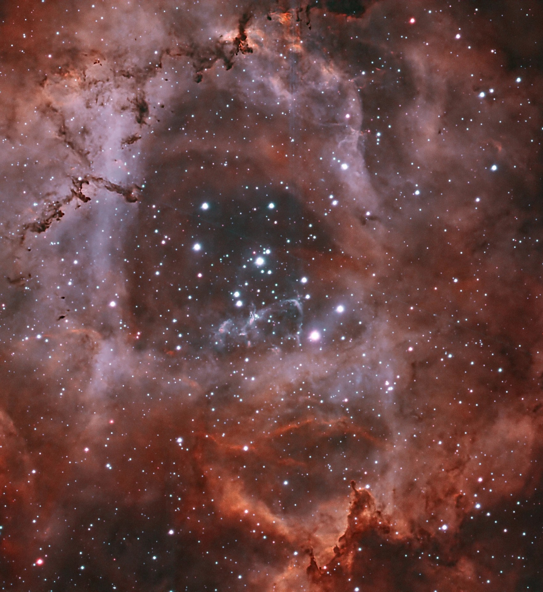 7platz rosette simon bock 20240520 1909775641