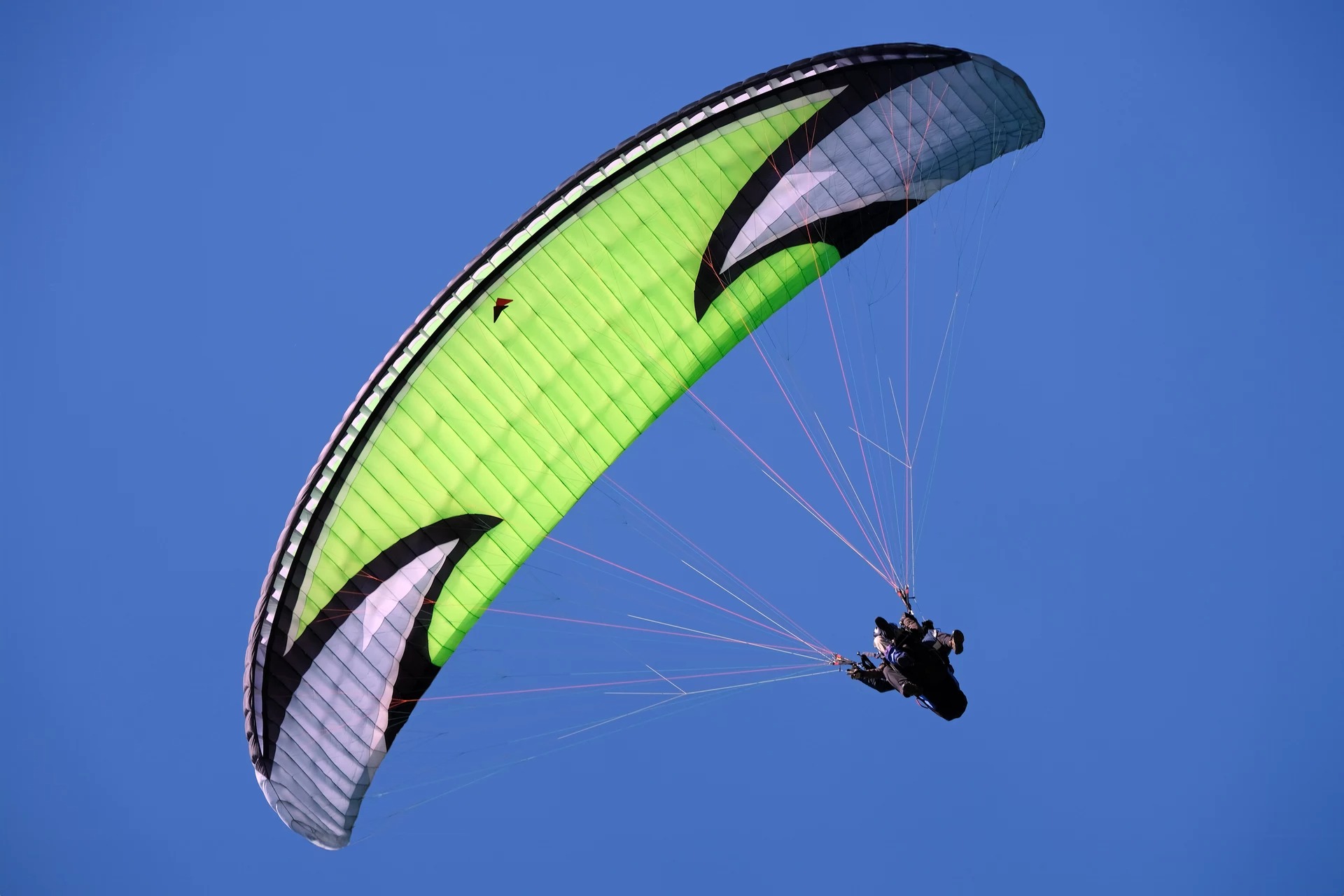 9paltz gleitflug von ruth hase 20240814 1171346206