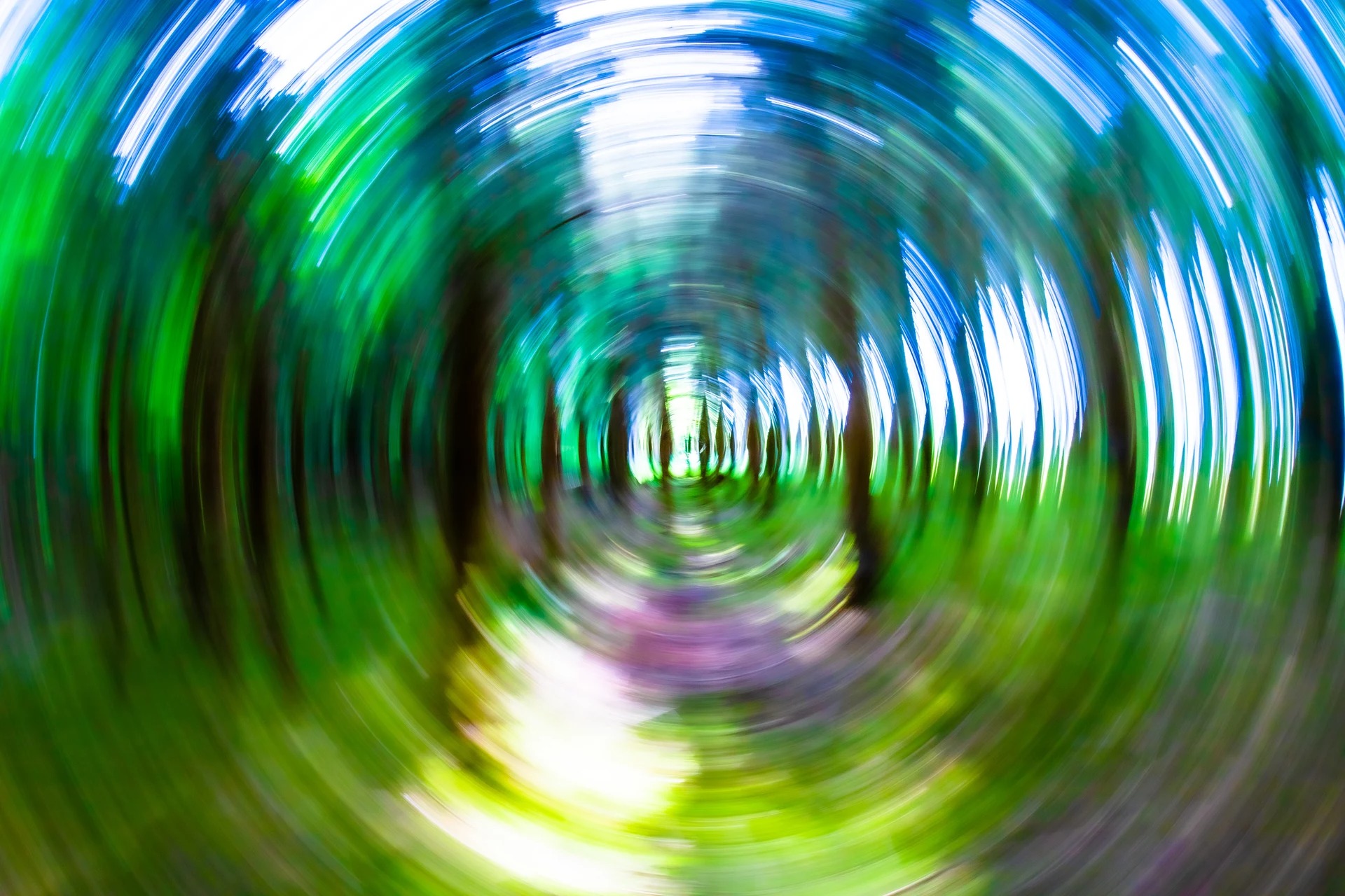 4platz rotation von hermann weiss 20240717 1724167928