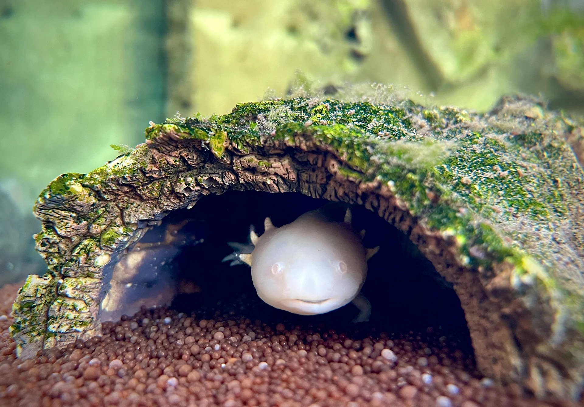 3platz besetzt von evi mayer 20240410 2059712805