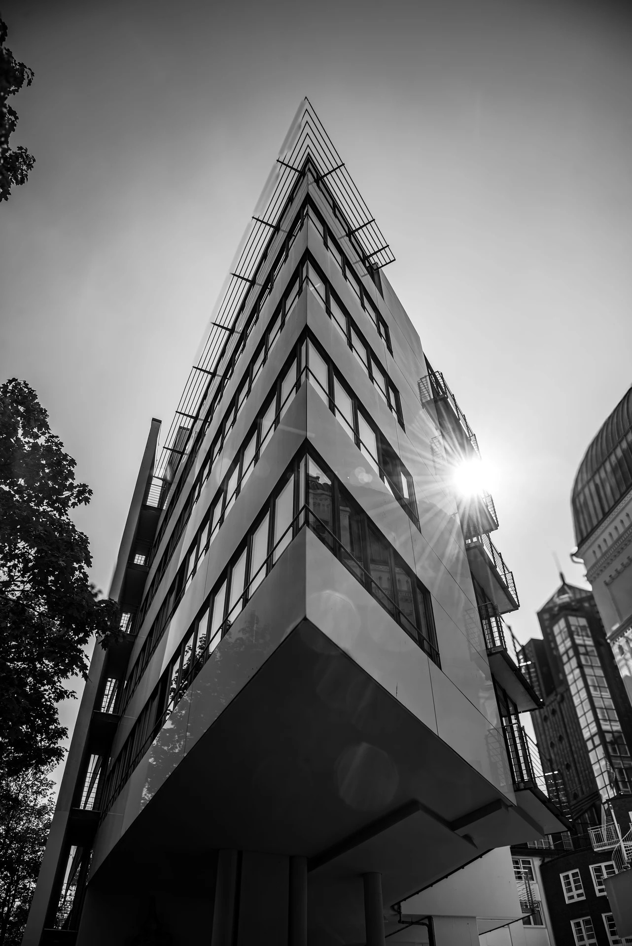 2platz gegenlicht von rudi bock 20240605 2060246088