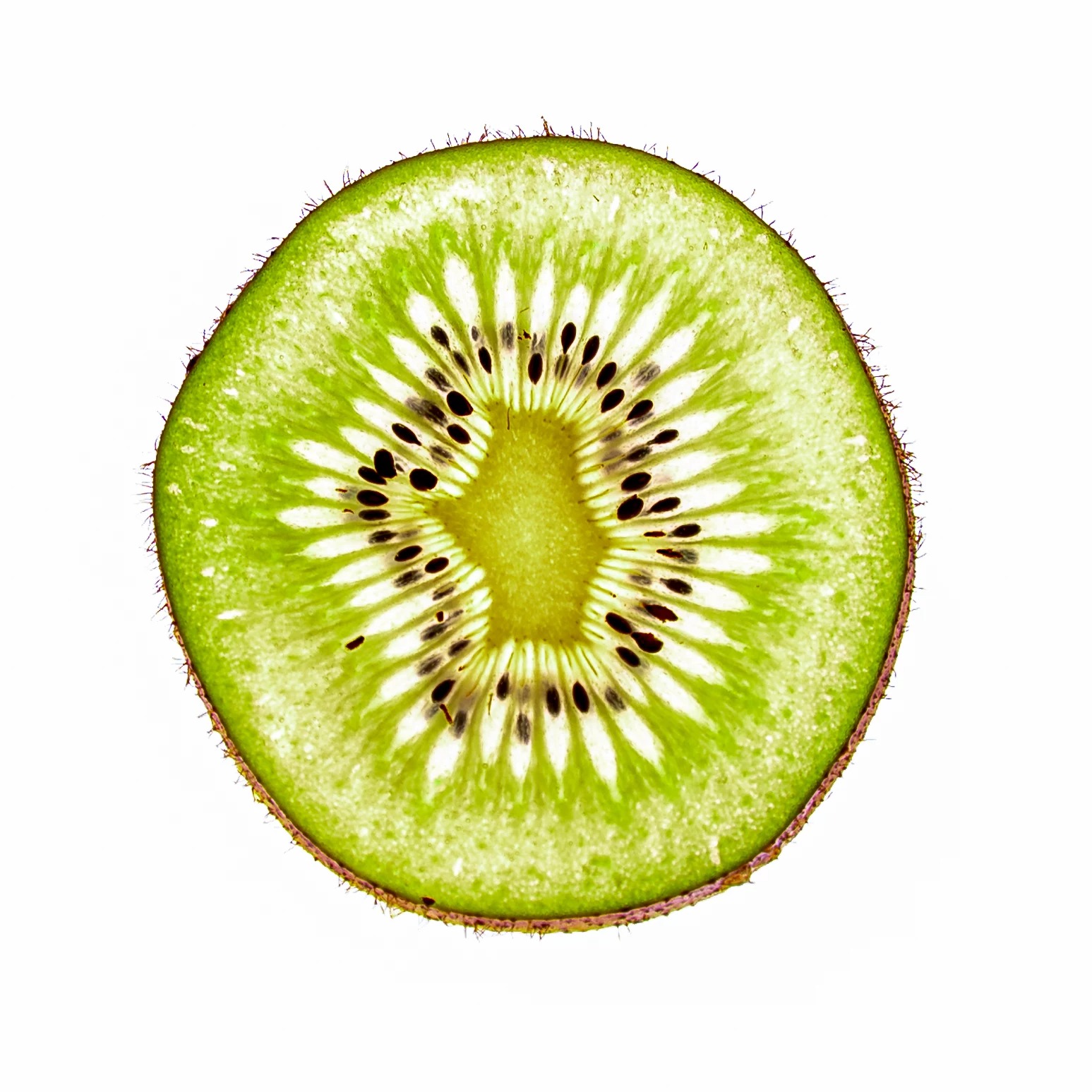 2platz kiwi von rudi bock 20231007 2027953223