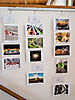 Ausstellungen
