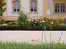 Photoreise Würzburg