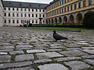 Photoreise Würzburg