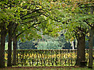 Photoreise Würzburg