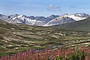 Haines - Haines Jct.
