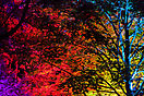 Lichtstrom Festival