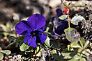 NAT_0192akl