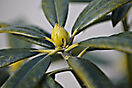 NAT_0283akl