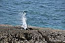 Aktiver Blow Hole bei Salalah