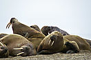 Spitzbergen