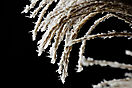 Winter-Impressionen
